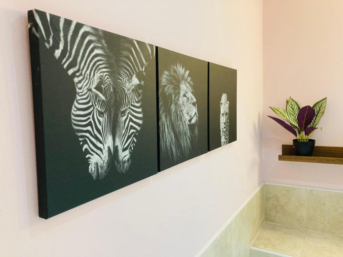 Jungle Escape, City Apartment With Parking & Terrace Chester Exteriér fotografie